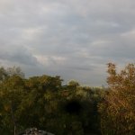 20201117_082516.jpg