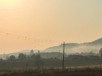 IMG_4367.JPG