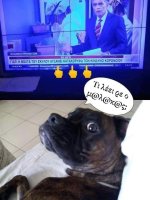 FB_IMG_1605672679798.jpg