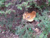 20201117_132239.jpg