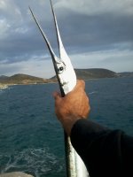 2. Φωτογραφία0427.jpg