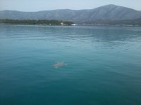 Φωτογραφία0543.jpg