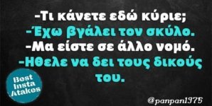FB_IMG_1606086552925.jpg
