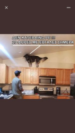 1606416370823.png
