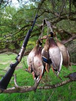 IMG_20201025_141206.jpg