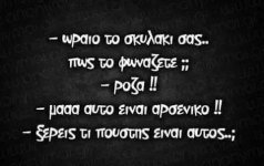 FB_IMG_1607004849802.jpg