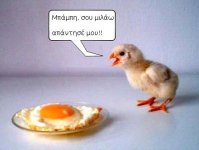 podilato98-asteies_eikones_elpis00_02.jpg