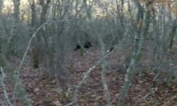 IMG_20201209_230611.jpg