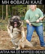 2195