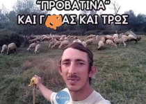 1607945894624.png