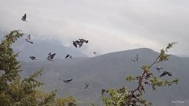 64936FEE-8EAC-4CBE-AEC6-02B5A7BC5033.jpeg