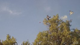 40285FB1-42FA-43B7-B13B-13631F6ED702.jpeg