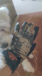 IMG_20201223_162233.jpg