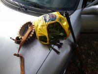IMG_20201226_093725.jpg