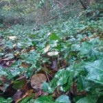20201226_084041.jpg