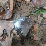 20201226_093412.jpg