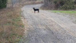 20201226_095356.jpg