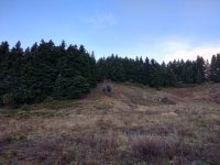 IMG_20201226_083423.jpg