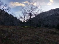 IMG_20201226_083439.jpg