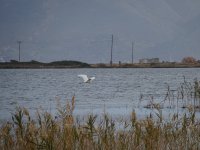 DSC00627.JPG