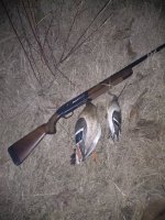 IMG_20201225_181645.jpg