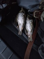 IMG_20201227_174139.jpg