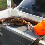20201220_112830.jpg
