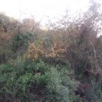 20201222_155445.jpg