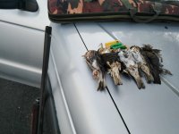 IMG_20201230_074029.jpg