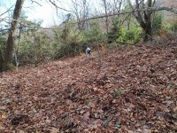 IMG_20201229_131342.jpg