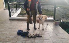 IMG_20201231_162727.jpg
