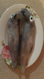 20201128_194115.jpg