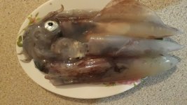20201116_193042.jpg