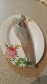 20201228_200455.jpg