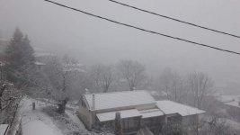 received_115611523757650.jpeg