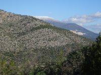 DSC01141.JPG