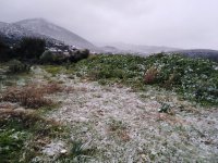 IMG_20210118_080123.jpg
