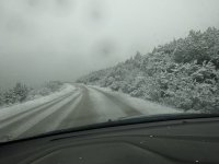 DSC01164 a.JPG