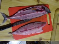DSC01378.JPG