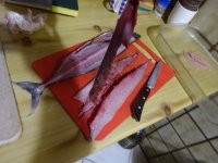 DSC01380.JPG