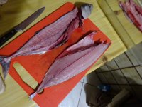 DSC01381.JPG