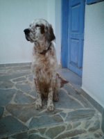 DSC00063.JPG