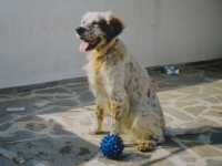 DSC01207.JPG