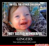 7d0b8d9d65b11f5ed53dc32799edad40--ginger-babies-ginger-kids.jpg
