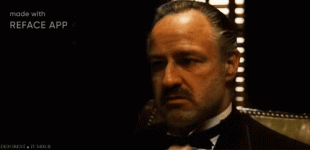 reface-2020-11-08-11-26-55.gif