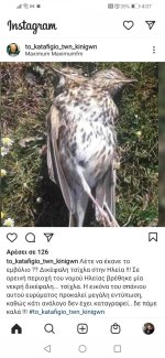 Screenshot_20210211_160723_com.instagram.android.jpg