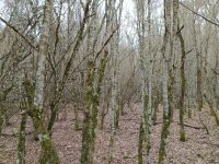IMG_20210221_113236.jpg