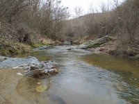IMG_20210221_113730.jpg