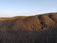 IMG_20210228_171344.jpg