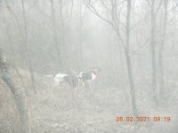 DSCN5007.JPG